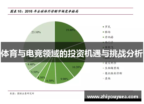 体育与电竞领域的投资机遇与挑战分析